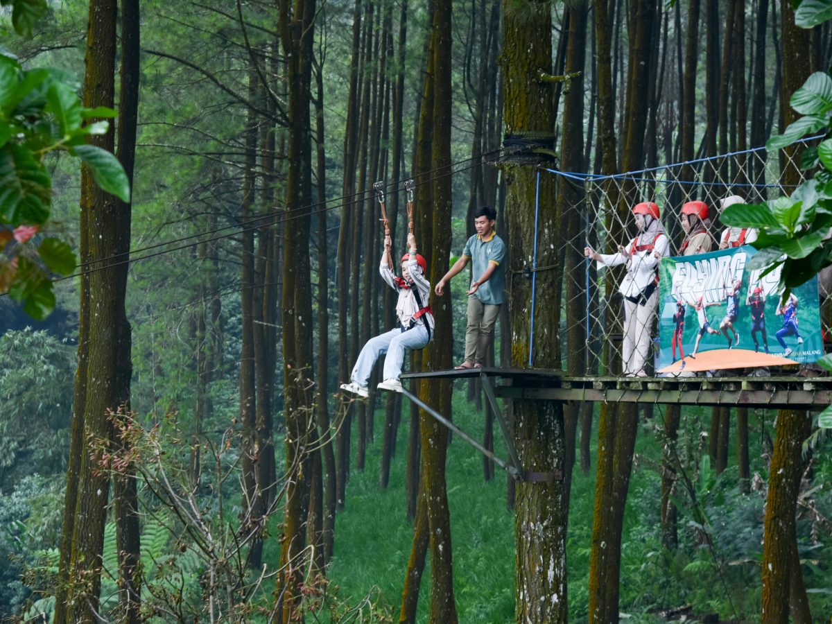 Flying Fox